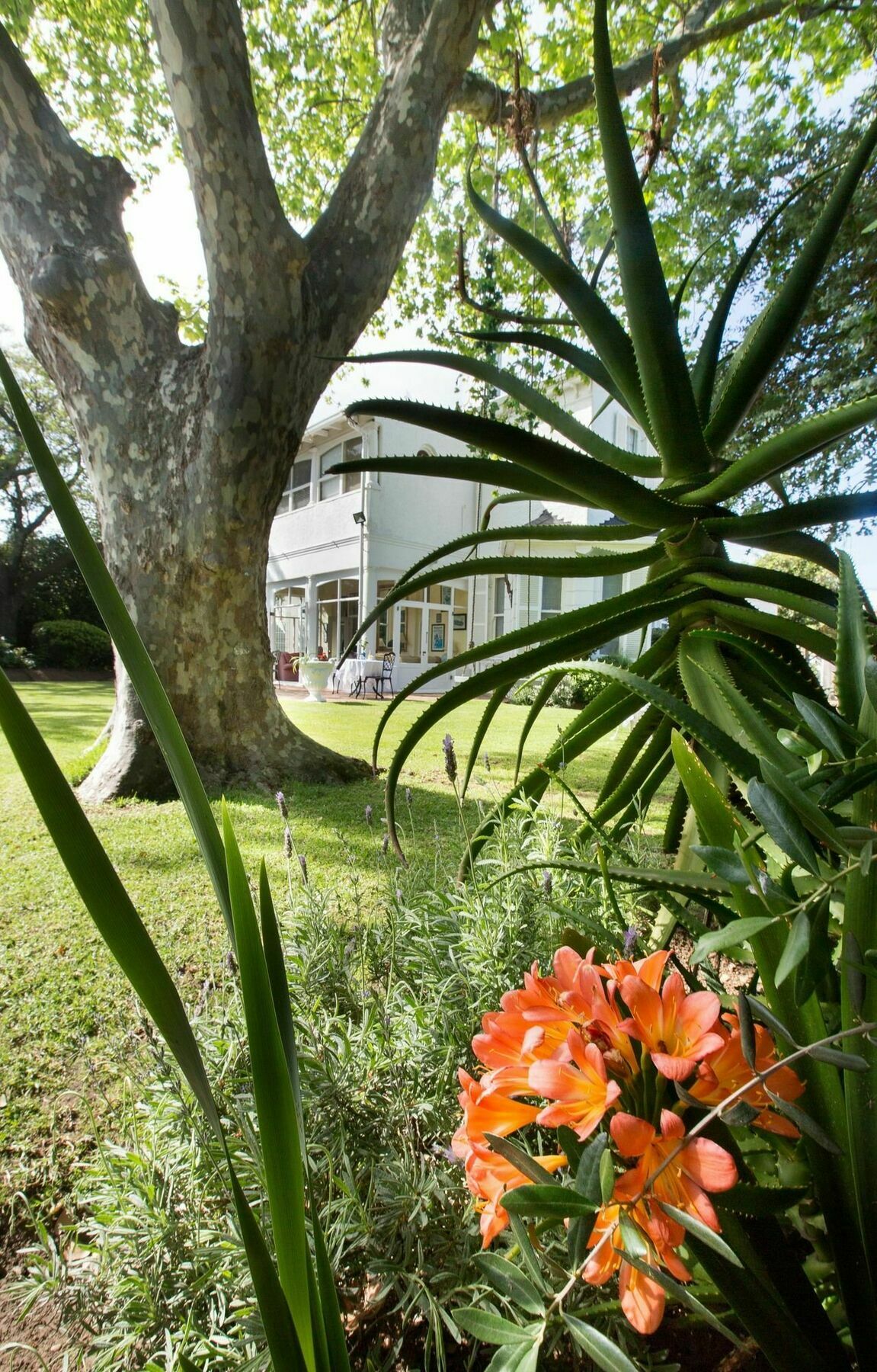 Brooklands House Hotell Cape Town Eksteriør bilde